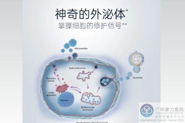 干细胞修复骨关节 (3).jpg